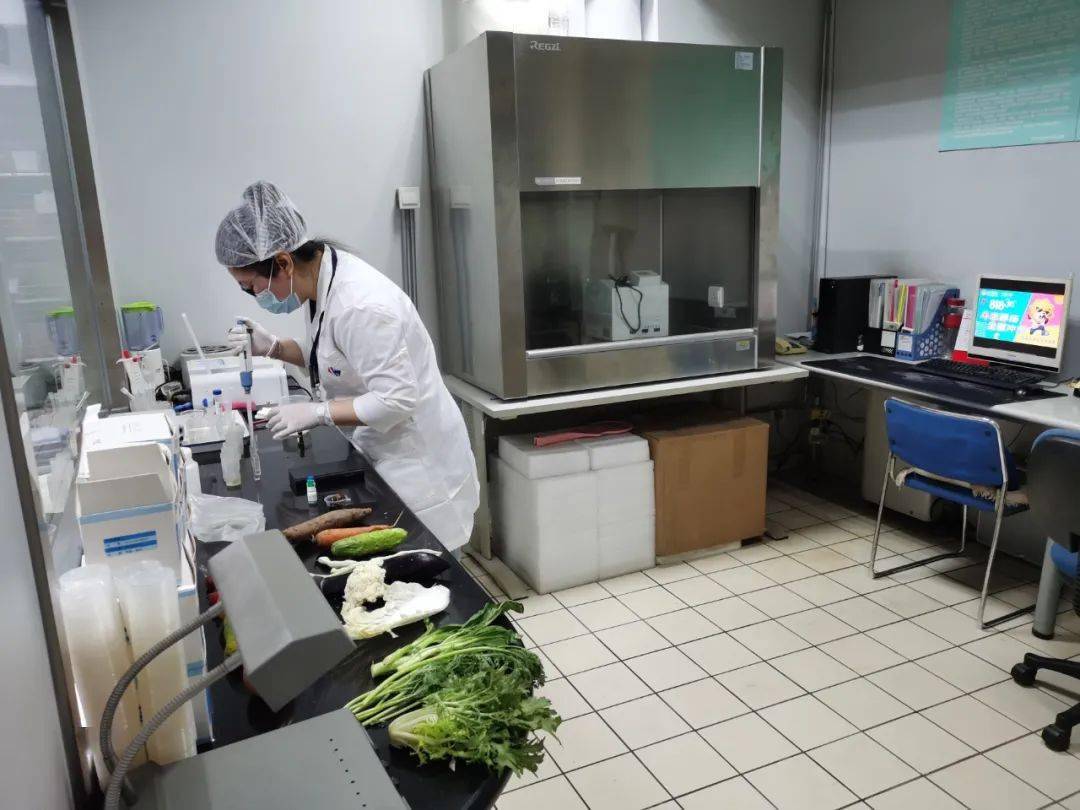 惠东食品检测实验室装修方案
